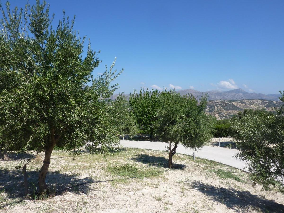 Entire Independent Maisonette Near Heraklion Pottery Classes Petrokefalo ภายนอก รูปภาพ